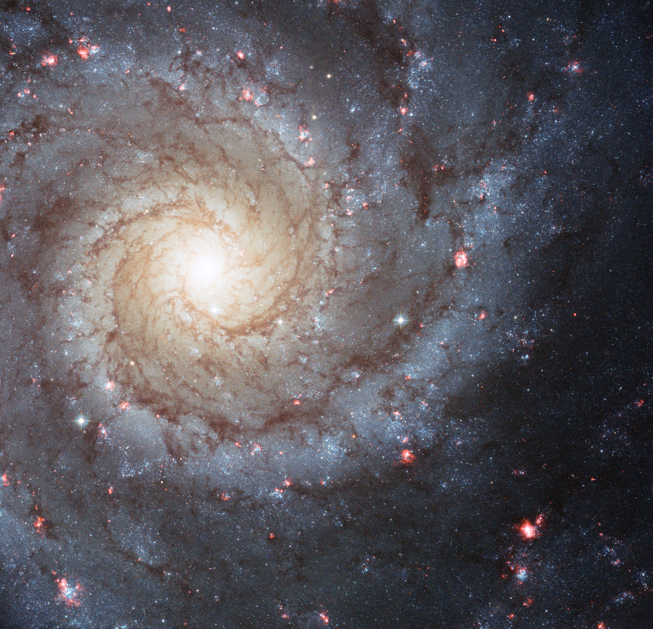 Hubble images of spiral galaxy M74