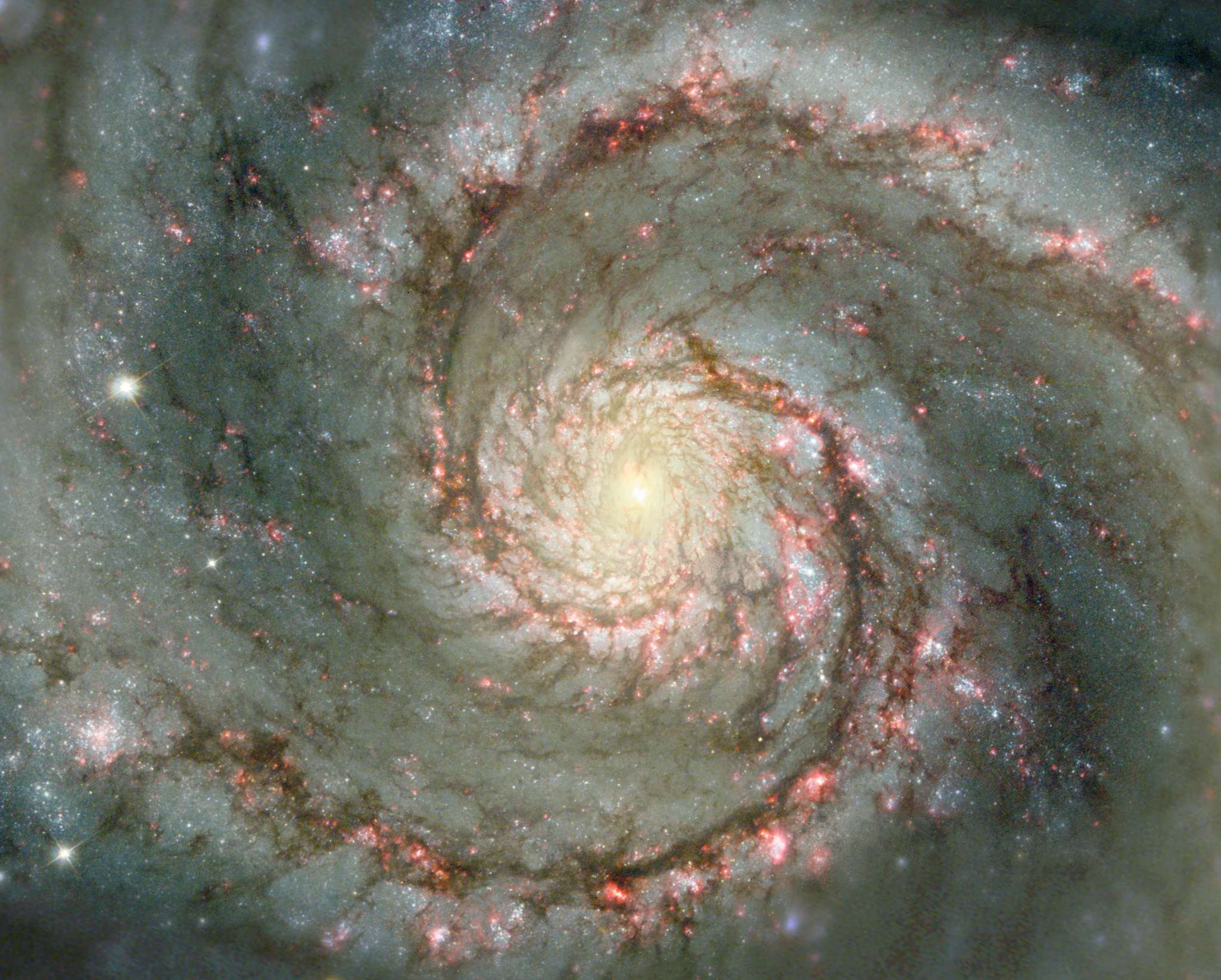  M51: The Whirlpool Galaxy in Dust and Stars  
