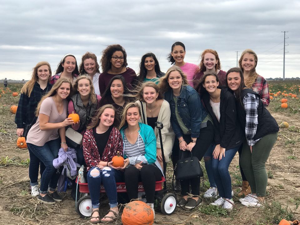 Apple Orchard
